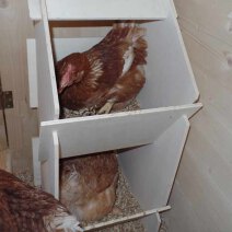 Legenester und Zubehör