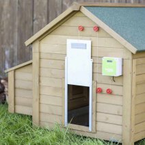 Automatische Hühnerklappe