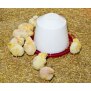 Kunststoff-Tränke 3,5l - Ideal für Hühner & Küken