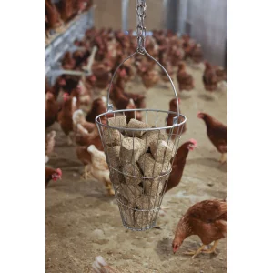 Grünfuttertrog / Futterkorb für Geflügel