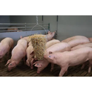 Grünfuttertrog / Futterkorb für Geflügel