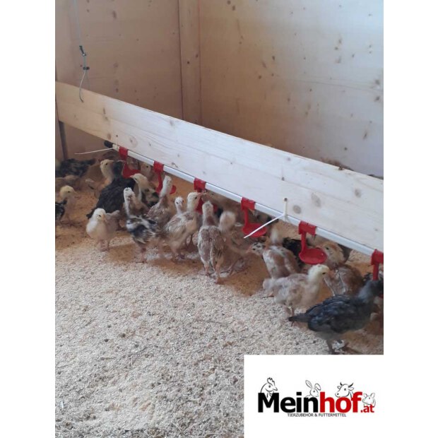 Nippeltränke für Geflügel bis 100 Tiere