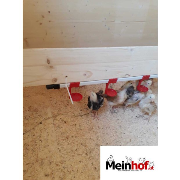 Nippeltränke für Geflügel bis 120 Tiere