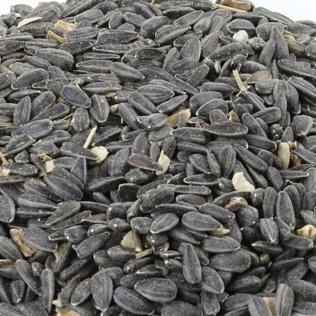 Bio Sonnenblumenkerne 15 kg