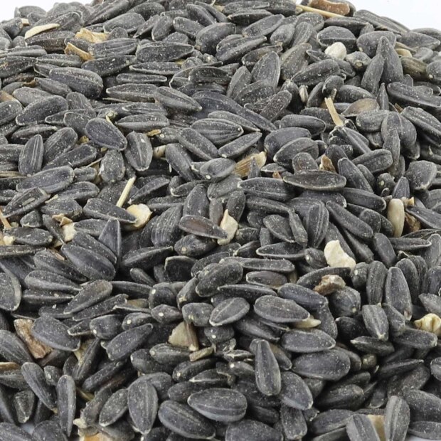 Bio Sonnenblumenkerne 6 kg