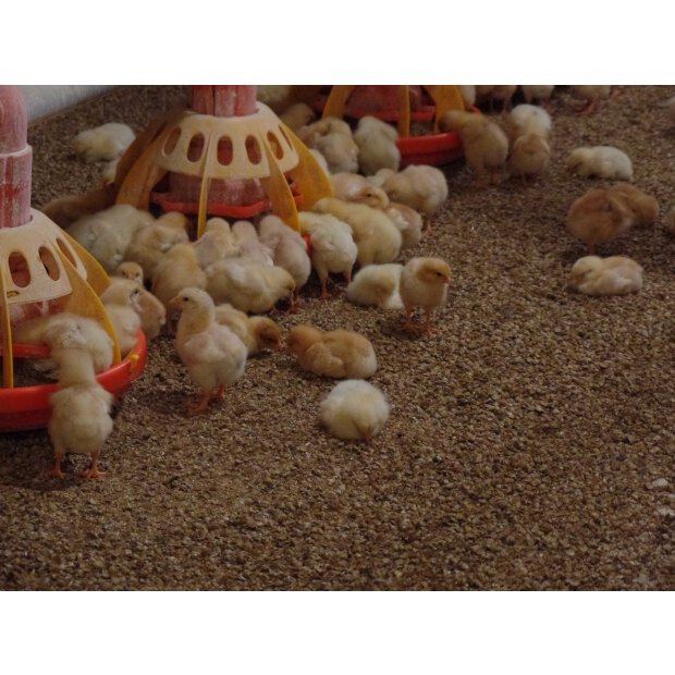 Strohgranulat im 25 kg Sack, für Geflügel & Nager