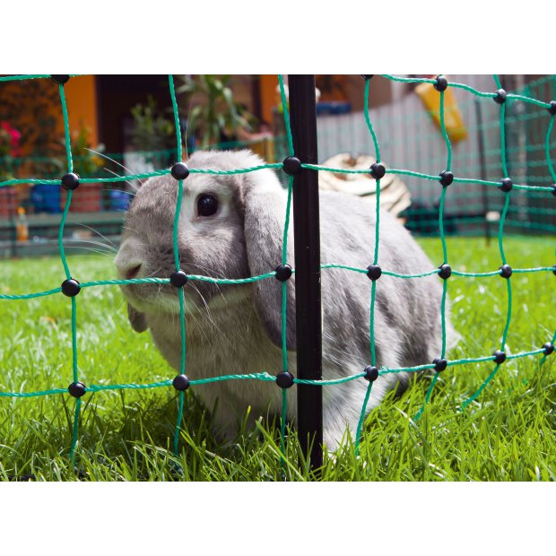 Kaninchennetz, Einzelspitze, mit 9 Kunststoffpfählen 12 m