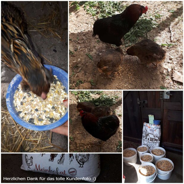 Karner Bio Geflügelkörnermix 9 kg