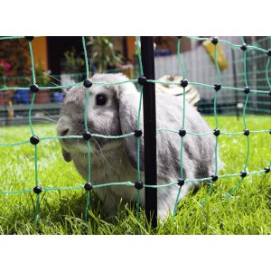 Ersatzpfahl für Kaninchennetz, Doppelspitze schwarz...