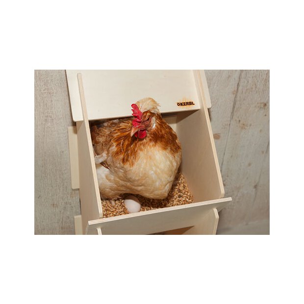 Hühner Legenest aus Holz unmontiert; 30x35x83cm