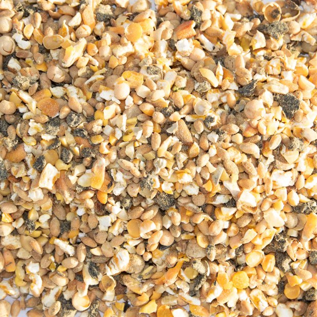 Bio Legehennenfutter SPEZIAL - OHNE SOJA  20 kg