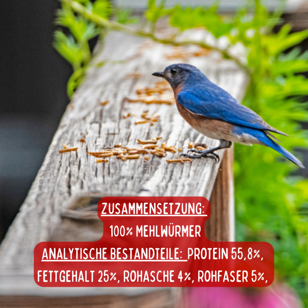 Karner Premium Mehlwürmer getrocknet im 16,25 Liter Sack