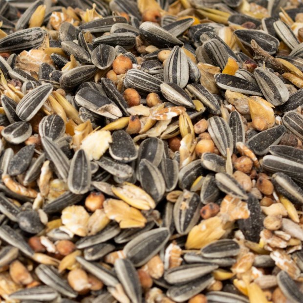 Karner Wildvogelstreufutter Piepmatz 25 kg Sack