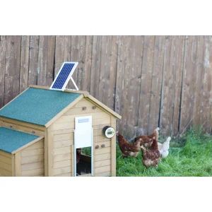 Solar-Akku-Set für Automatische Hühnertür