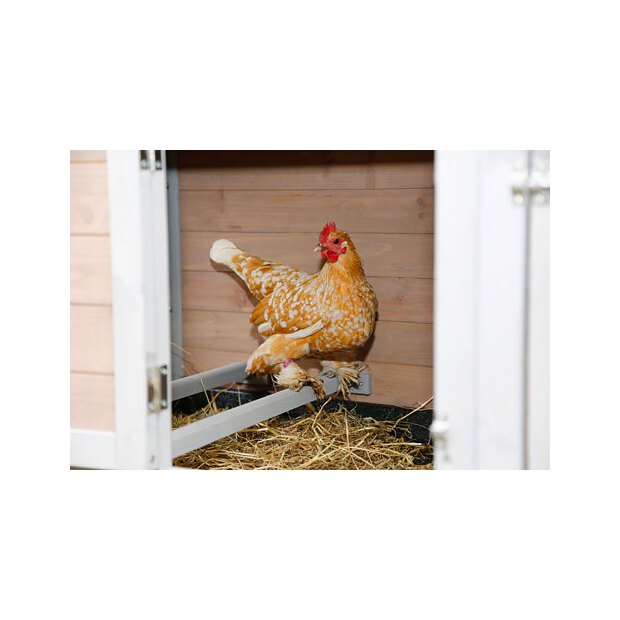 Hühnerstall Bonny m. Metall- rahmen am Boden 181x65x118cm