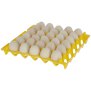 Eieraufbewahrung aus Kunststoff für 30 Eier