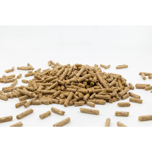 Elité Kompakt Pellet 25 kg, mit Hafer