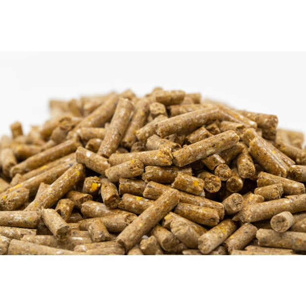 Elité Kompakt Pellet 25 kg, mit Hafer