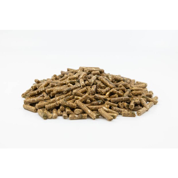 Elité Gastro Balance 25 kg, Kraftfutter für Freizeit-, Zucht- und Sportpferde