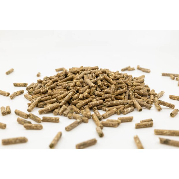 Elité Gastro Balance 25 kg, Kraftfutter für Freizeit-, Zucht- und Sportpferde