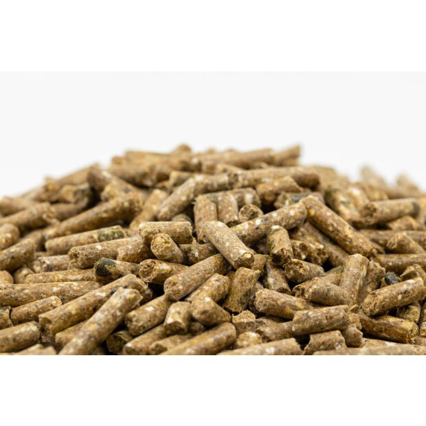 Elité Gastro Balance 25 kg, Kraftfutter für Freizeit-, Zucht- und Sportpferde