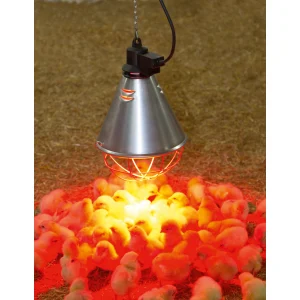 Set: Infrarot-Wärmestrahlgerät 5 m Kabel + Infrarot-Sparlampe rot 100 W