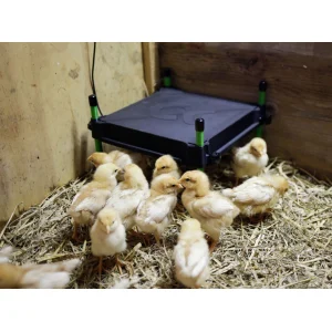 W&auml;rmeplatte CosyHeat f&uuml;r K&uuml;ken 30 x 30 cm, 25 Watt