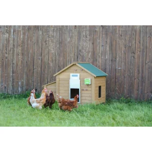 Automatische Gänseklappe Komplett-Set, 430 × 400 mm