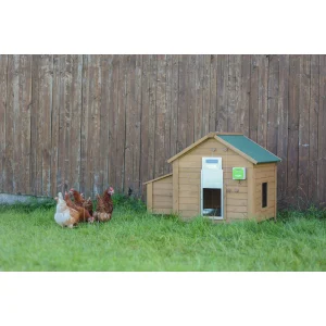 Automatische Gänseklappe Komplett-Set, 430 × 400 mm