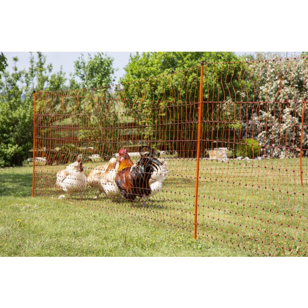 Geflügelnetz 50m. 106 cm, Einzelspitz, orange, elekrifizierbar