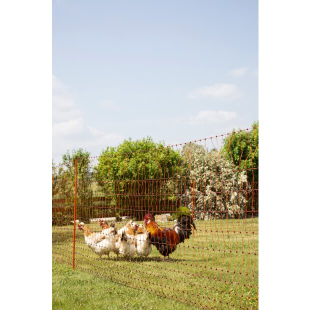 Geflügelnetz 50m. 106 cm, Einzelspitz, orange, elekrifizierbar