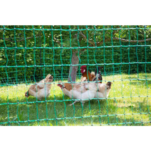 Kerbl Geflügelnetz Classic mit Strom, Doppelspitze, grün