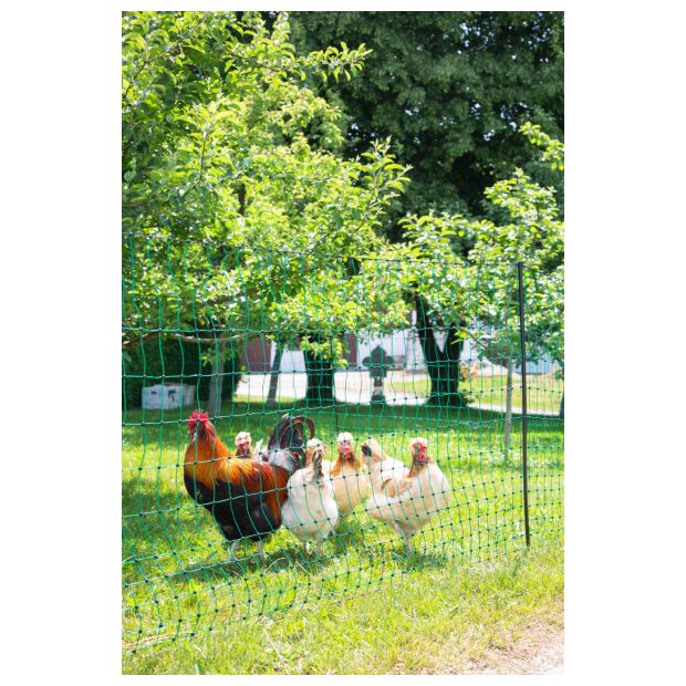 Kerbl Geflügelnetz Classic mit Strom, Doppelspitze, grün