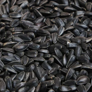 Karner Sonnenblumenkerne schwarz im 20 kg Sack