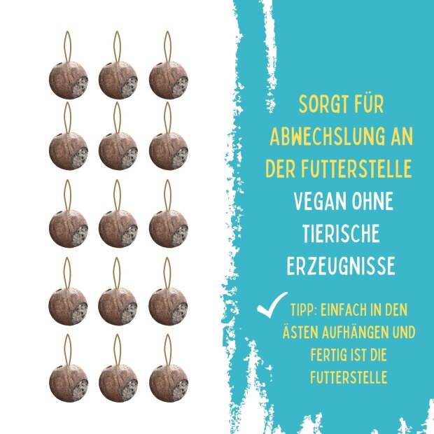 Kokosnuss mit 3 Löchern gefüllt, 15 Stk