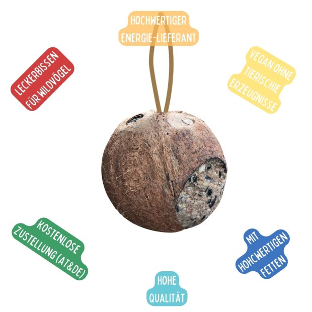 Kokosnuss mit 3 Löchern gefüllt, 15 Stk