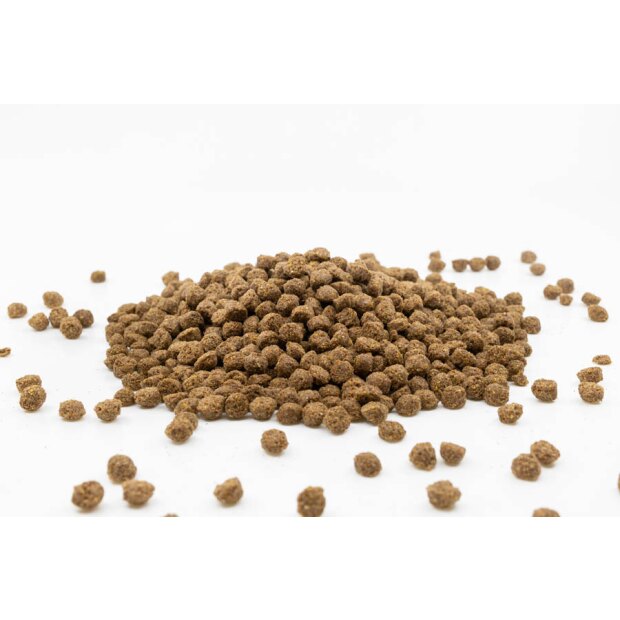 Elite Leinsaat 15 kg, für ein glänzendes Fell