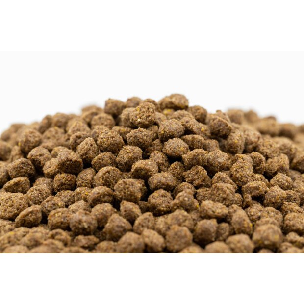 Elite Leinsaat 15 kg, für ein glänzendes Fell