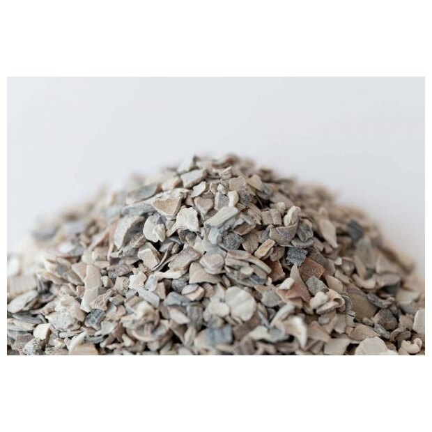 Austernschalen 25 kg