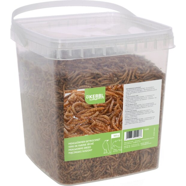Mehlwürmer 900g im Eimer