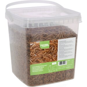 Mehlwürmer 900g im Eimer