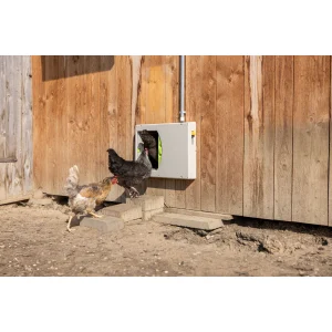 SmartCoop Hühnertür mit Direktantrieb