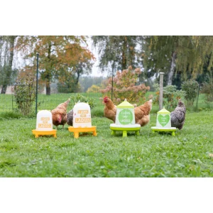 Kunststofftränke mit Ladies-Motiv
