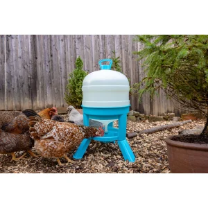 Gefl&uuml;geltr&auml;nke 30 l, t&uuml;rkis-wei&szlig;