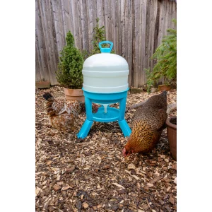 Gefl&uuml;geltr&auml;nke 30 l, t&uuml;rkis-wei&szlig;
