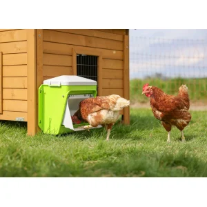 SmartCoop Futterautomat mit Schutzklappe, 7,5 kg