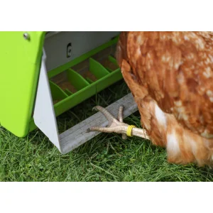SmartCoop Futterautomat mit Schutzklappe, 7,5 kg